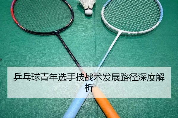 乒乓球青年选手技战术发展路径深度解析
