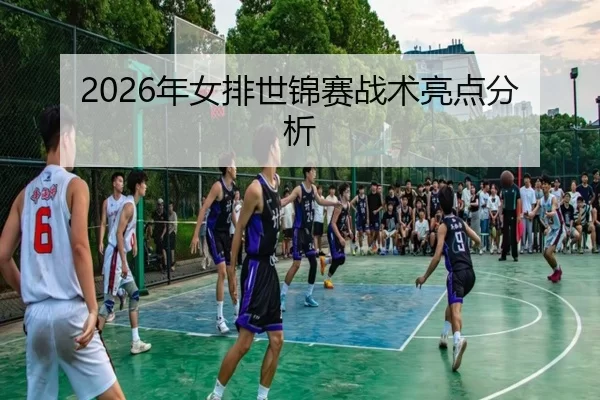 2026年女排世锦赛战术亮点分析